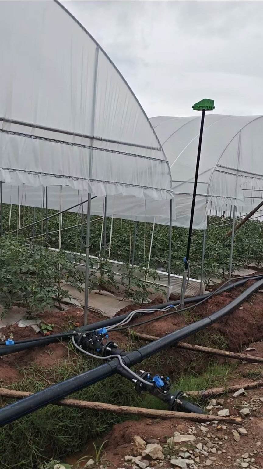 施工后 - 吕合200亩番茄大棚水肥一体化自动化项目
