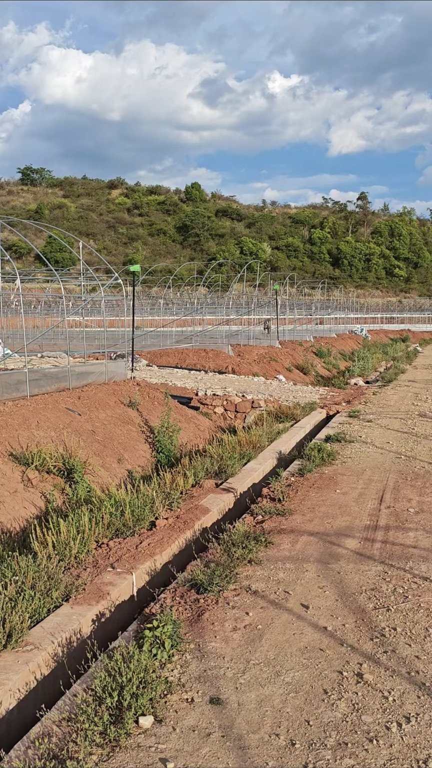 施工前 - 吕合200亩番茄大棚水肥一体化自动化项目