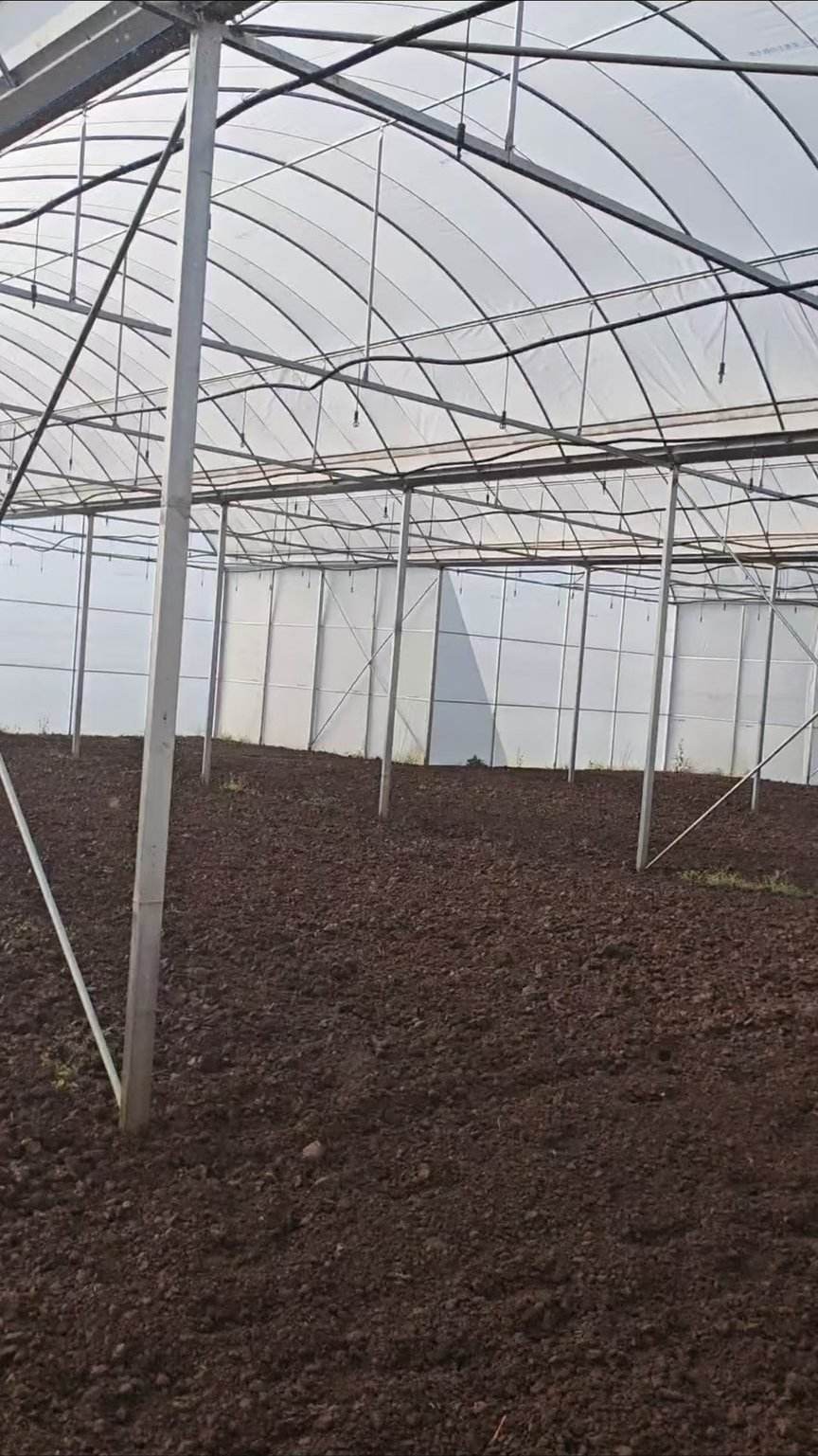建成后效果 - 师宗100亩草莓大棚水肥一体化自动化项目