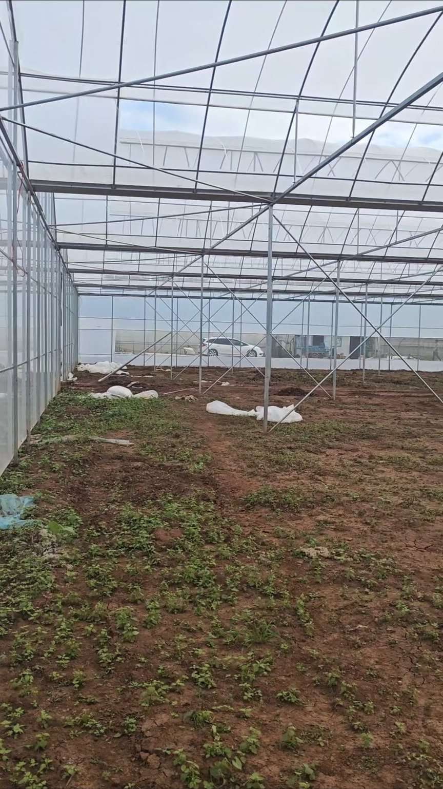 施工前 - 师宗100亩草莓大棚水肥一体化自动化项目