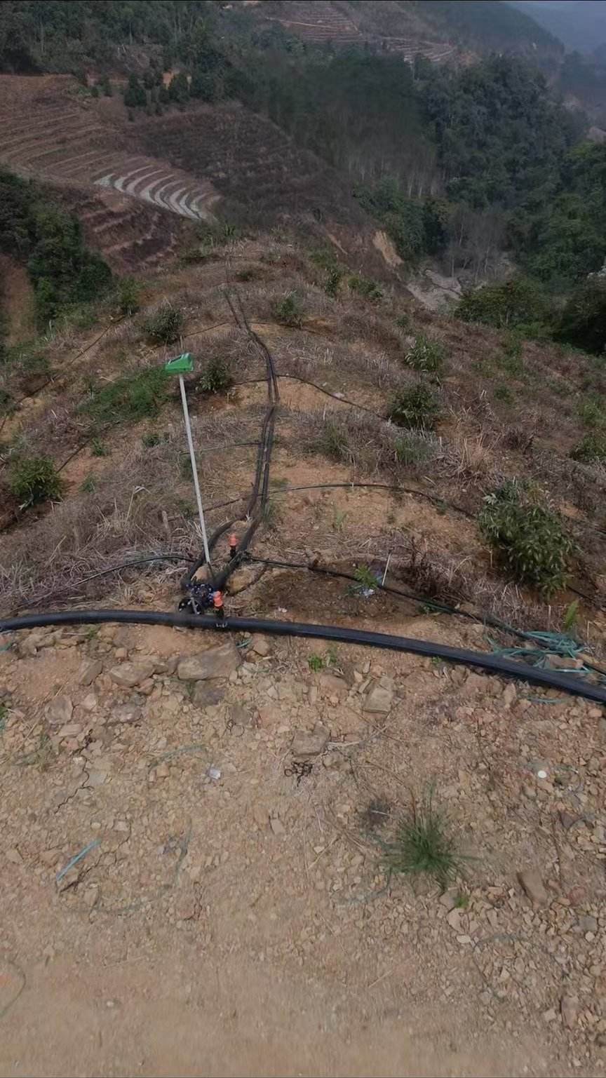 施工后 - 西盟牛油果1200亩山地水肥一体化自动化项目